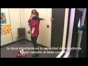 Explorando los diferentes tipos de negligencia