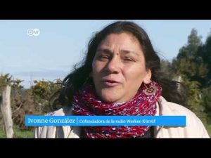 Descubriendo el idioma de los profesionales del derecho