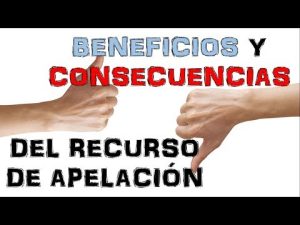 Plazo para la resolución de un recurso de apelación por parte del juez