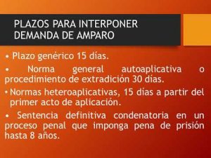 ¿Cuál es el plazo para presentar una demanda?