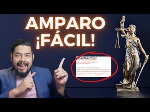 Entendiendo el concepto de amparo en el ámbito legal
