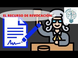Cuál es el recurso disponible contra una sentencia definitiva