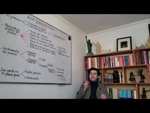 Explorando la naturaleza del derecho procesal