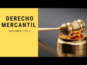 La división del derecho mercantil: una guía completa