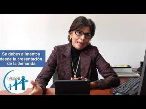El proceso legal de solicitar alimentos en Colombia: todo lo que debes saber