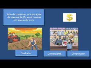Aplicación del derecho mercantil: momentos clave a tener en cuenta