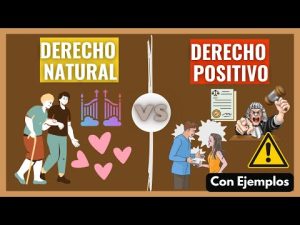 Descubre las 4 cualidades esenciales del derecho