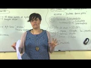 Una introducción al derecho administrativo y su aplicación en un caso práctico