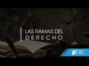 Explorando las diferentes ramas del derecho